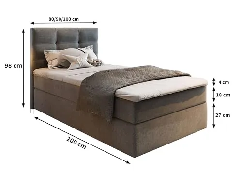 Masseno GLOS 80 3