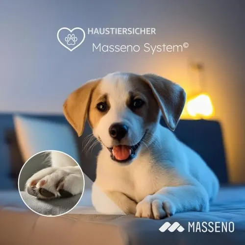 Masseno Selva R-S 6