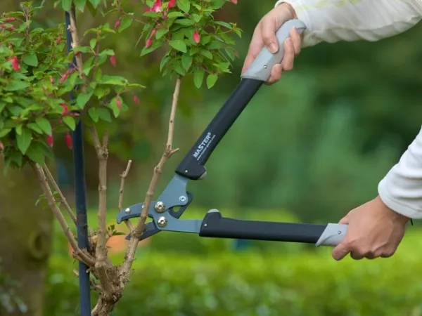 Master Garten Damen-Gleitschnittschere 2