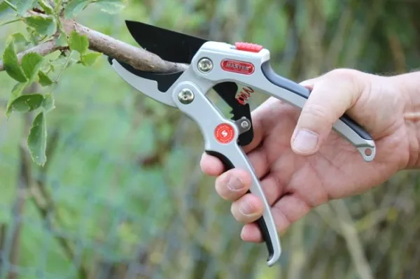 Master Garten XtremGe Tec-Compact C1 2