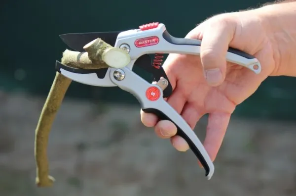 Master Garten XtremGe Tec-Compact C1 3