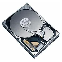 Maxtor Diamondmax 10 (P-ATA)