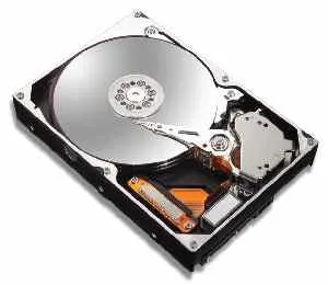 Maxtor MaxLine III 300GB 7L300R0