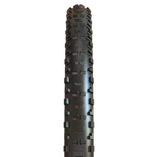 Maxxis DHR II 2