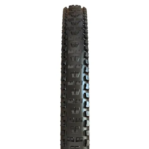 Maxxis HIGH ROLLER II 2