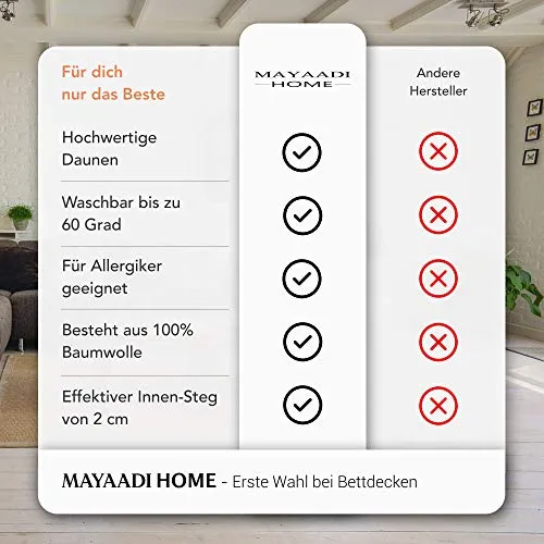 Mayaadi-Home HS40 3