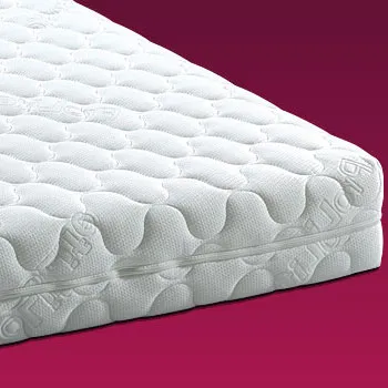 ProLife Dream Medium