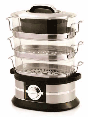 Morphy Richards Food Fusion Steam