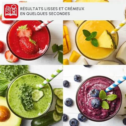 Moulinex Mix & Move LM15FD10 6