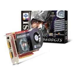 MSI NX8600 GTS T2D256EZ
