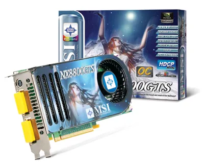 MSI NX8800GTS-T2D320E-HD
