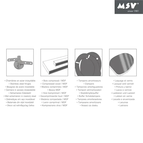 MSV CLÉO 4