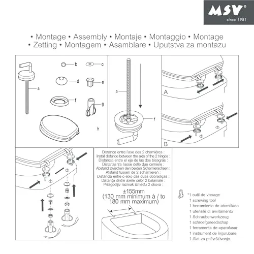 MSV CLÉO 5