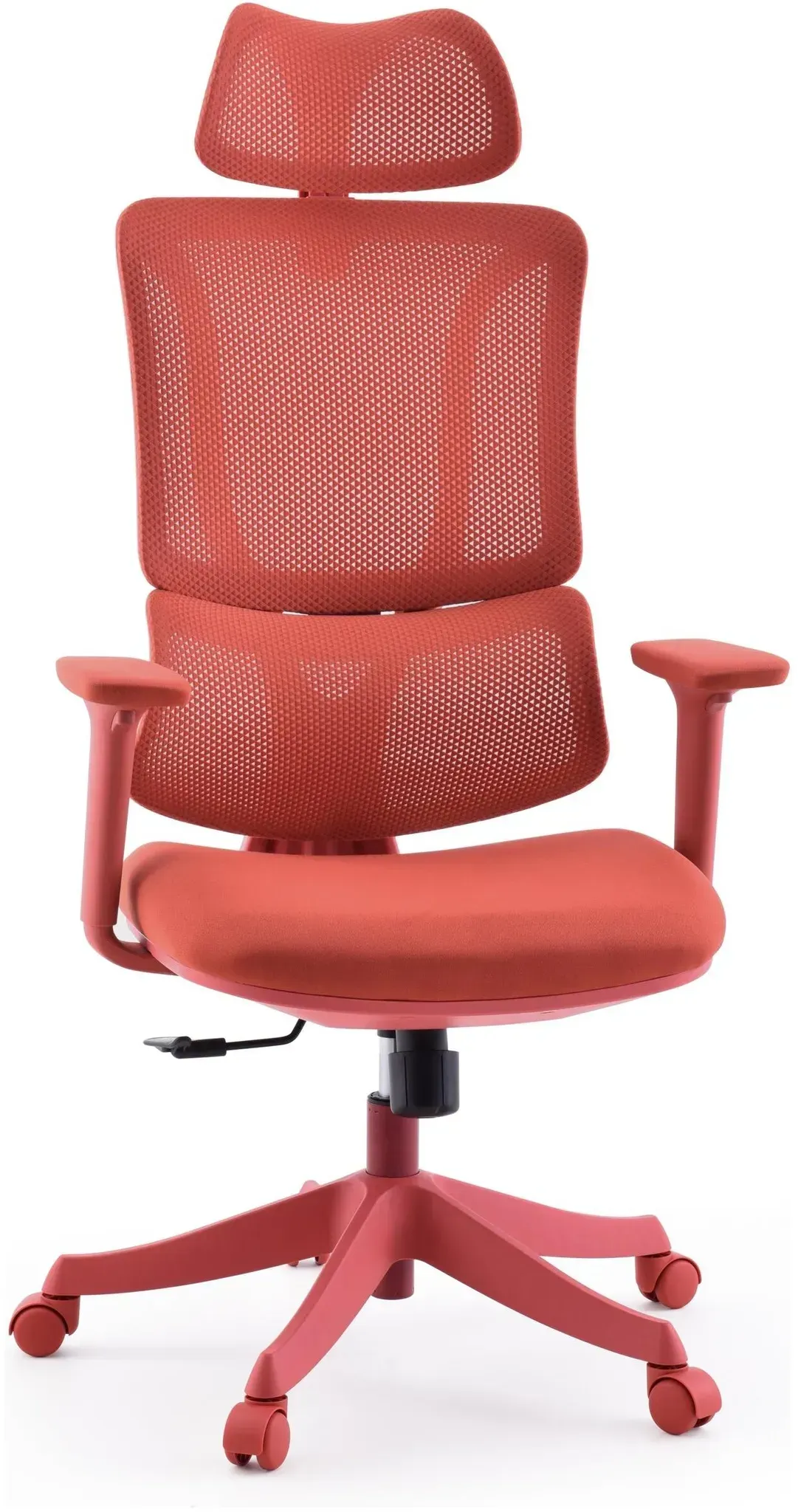MyBuero Ergomy Colore