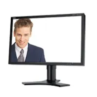 NEC MultiSync 2490WUXI