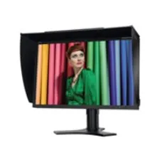 NEC SpectraView 2490 2