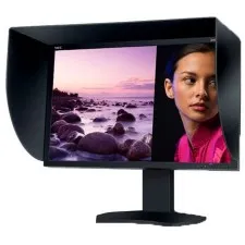 NEC Spectraview 302 2