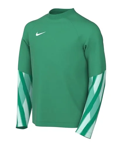 Nike Y NK DF Park V 4