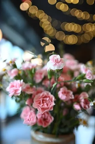 Nikon NIKKOR Z 35mm f/1.4 3