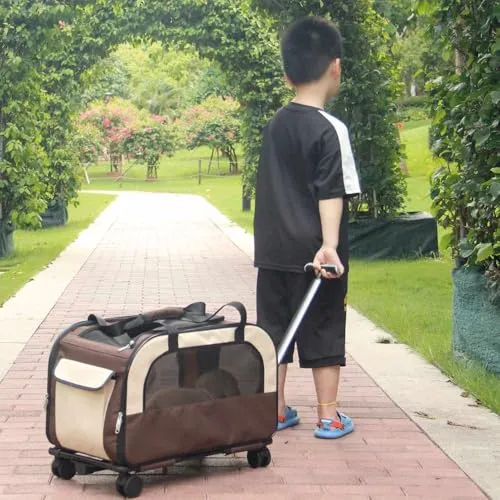 Nobby Trolley Move 7
