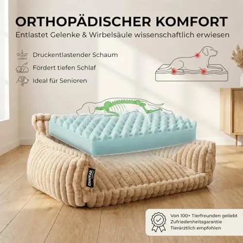 noviclass Chaffar 3