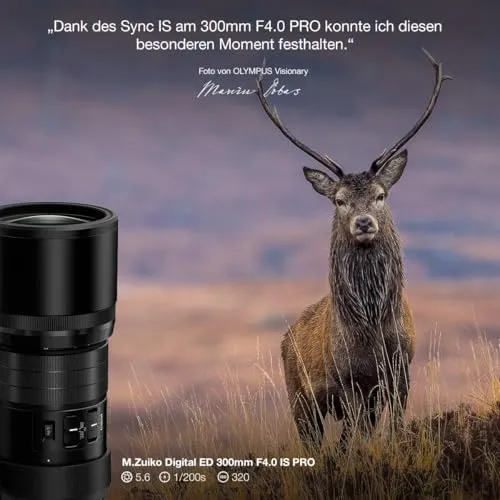 Olympus M.Zuiko Digital ED 4,0/300 mm IS Pro 7