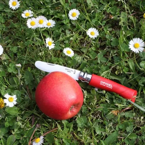 Opinel Messerzähler M 4