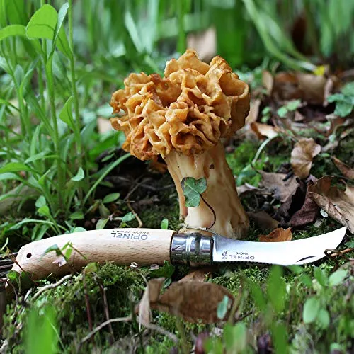 Opinel Pilzmesser UC 5