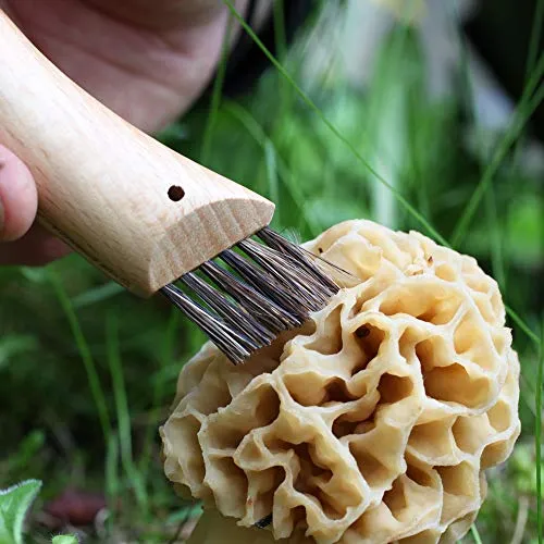Opinel Pilzmesser UC 6