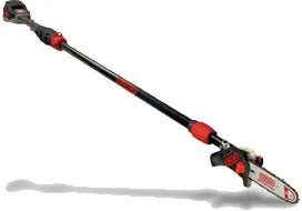 Oregon Stangensäge PS250