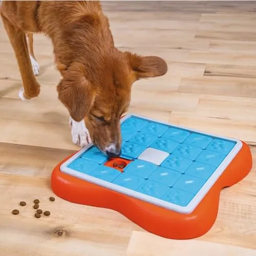 Outward Hound Challenge Slider 4