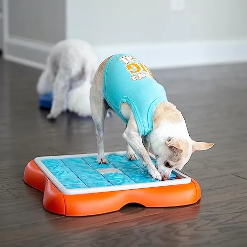 Outward Hound Challenge Slider 6