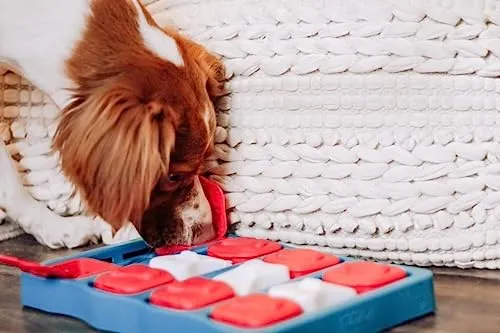 Outward Hound Dog Brick 7