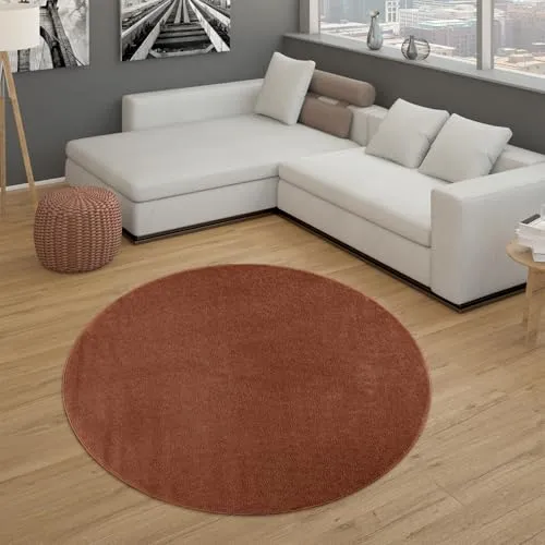 Paco Home Teppich 6
