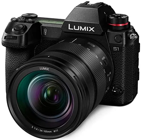 Panasonic DC-S1ME 6