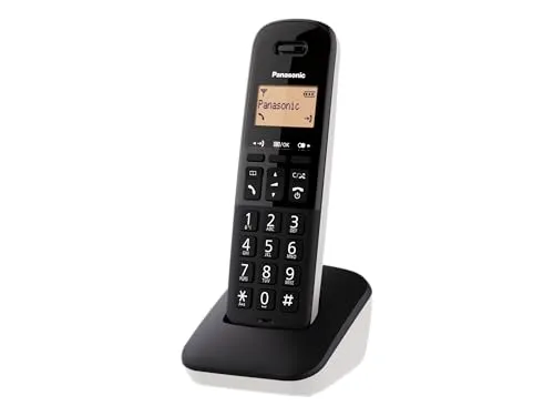 Panasonic KX-TGB610JTW 2