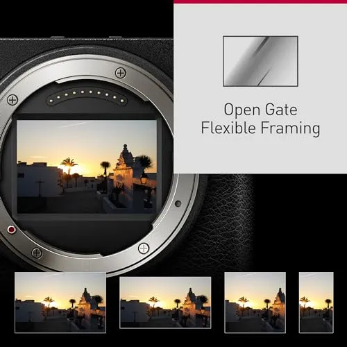 Panasonic Lumix DC-S9E-A 3