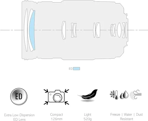Panasonic Lumix G Vario 100-300 II 3