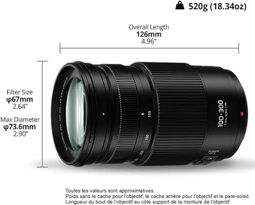 Panasonic Lumix G Vario 100-300 II 5