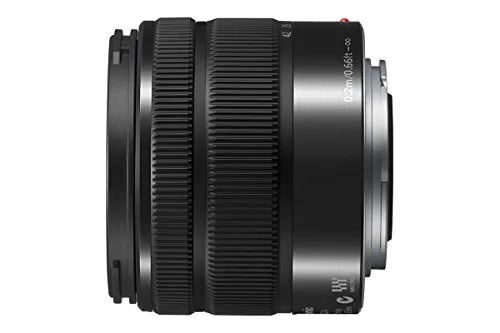 Panasonic Lumix H-FS1442A G Vario 3,5-5,6/14-42 mm II Asph. 4