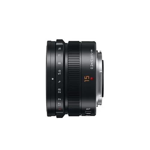 Panasonic Lumix H-X015E9-K 3