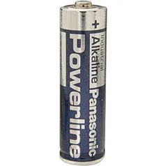 Panasonic Alkaline (AA)