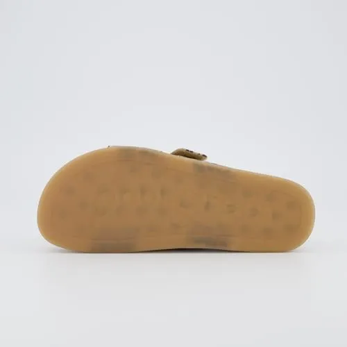 Paul Green 3