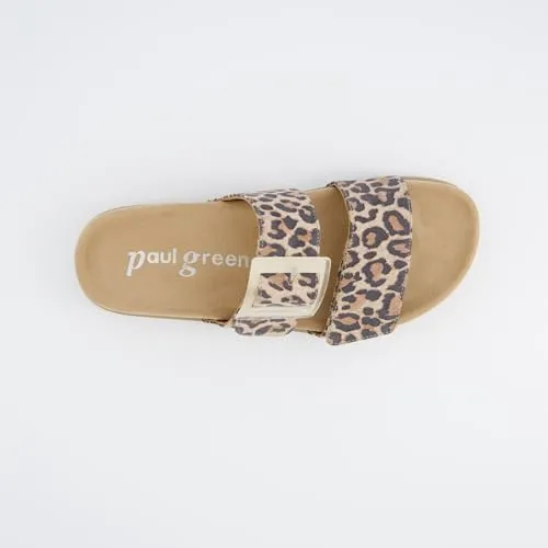 Paul Green 7