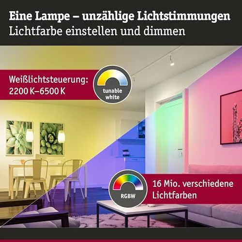 Paulmann 29151 3