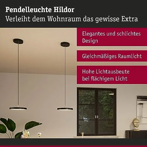 Paulmann Hildor 2