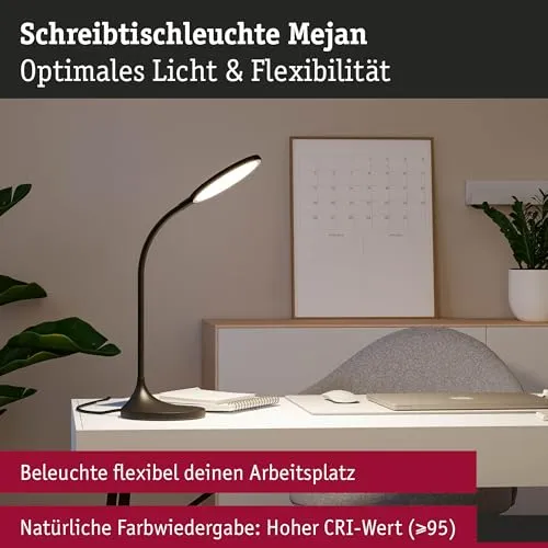 Paulmann Mejan 2