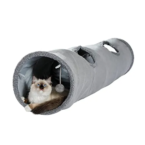 PAWZ Road Katzentunnel
