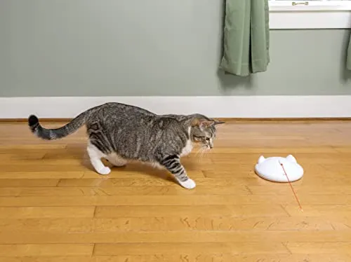 PetSafe ZIP 6