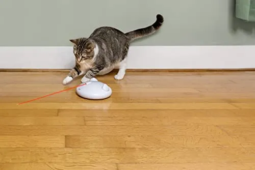 PetSafe ZIP 7